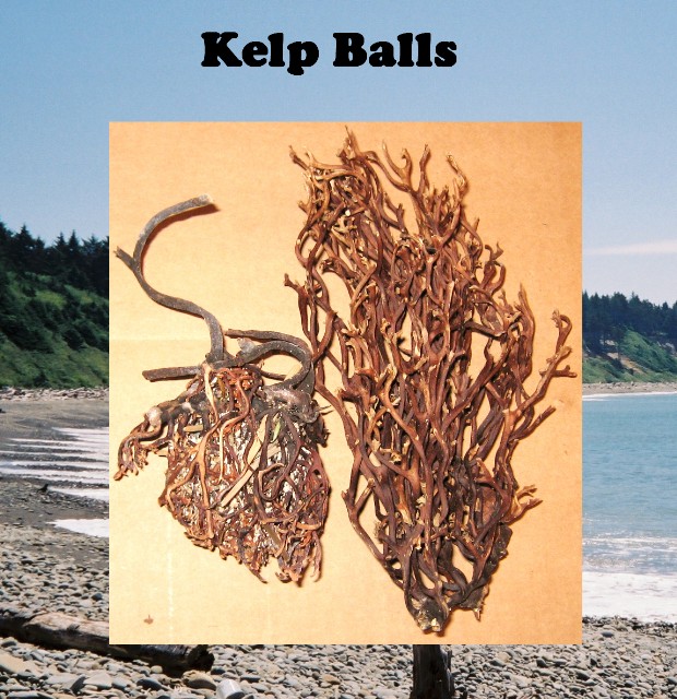 Assorted Kelp Balls .50 cu. ft. box
